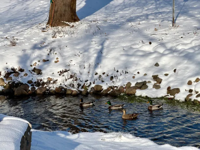 $384,900 | 213 2nd Street North, Cold Spring, MN 56320