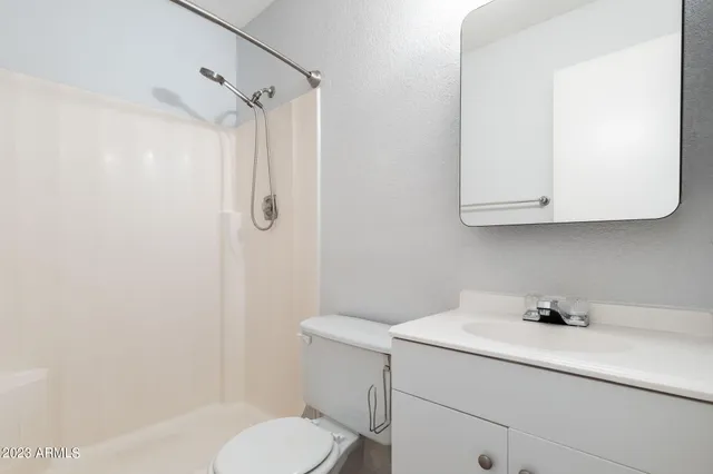 a bathroom with a sink toilet and vanity