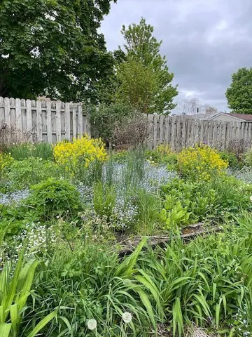 $289,900 | 514 Bailey Drive, Big Rapids, MI 49307