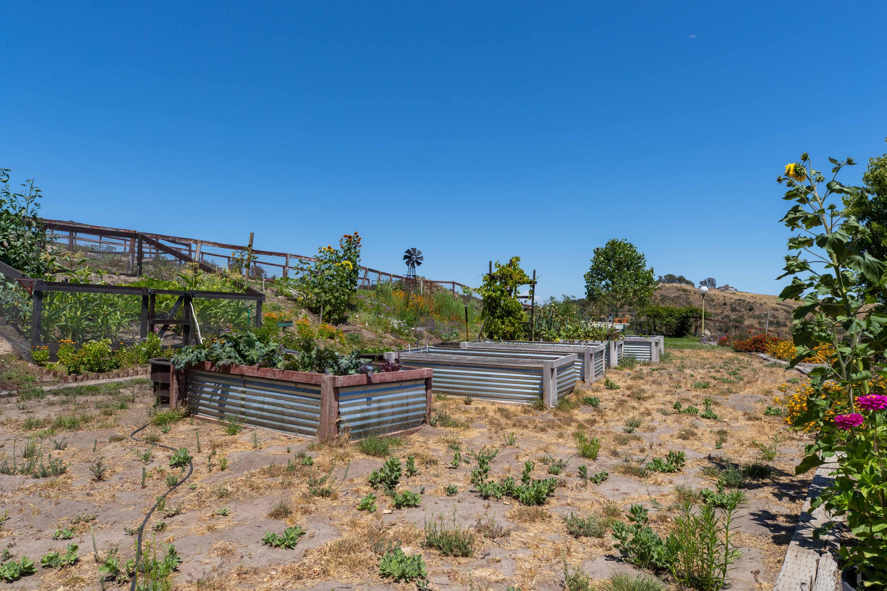 1833 Cougar Ridge Road Buellton, CA 93427 - Photo 38 of 49 a backyard of a house with lots of green space