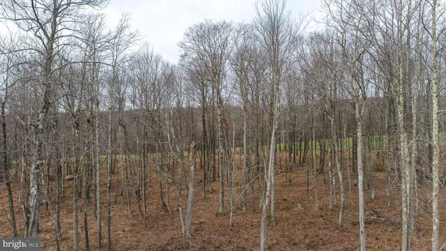 $125,000 | Lot 115 Biltmore View, McHenry, MD 21541