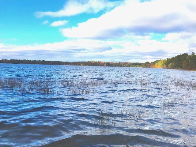 On North Carpenter Lake Road Eagle River, WI 54521 - Photo 5 of 9 Gallery Image 5