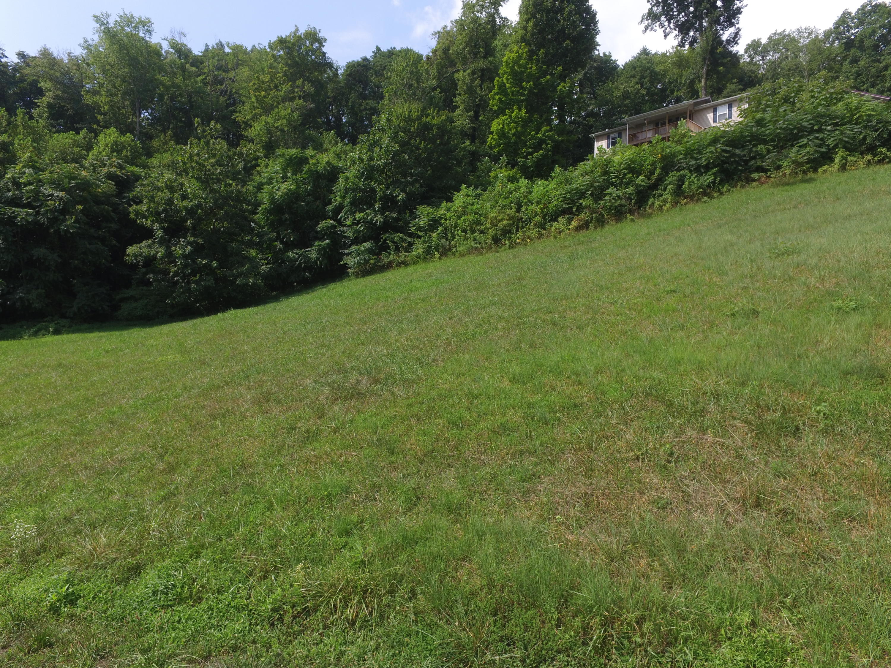 22 Lindsay Mill Road Lake City, TN 37769 - Photo 7 of 7 DJI_0013