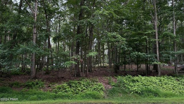a view of backyard with green space