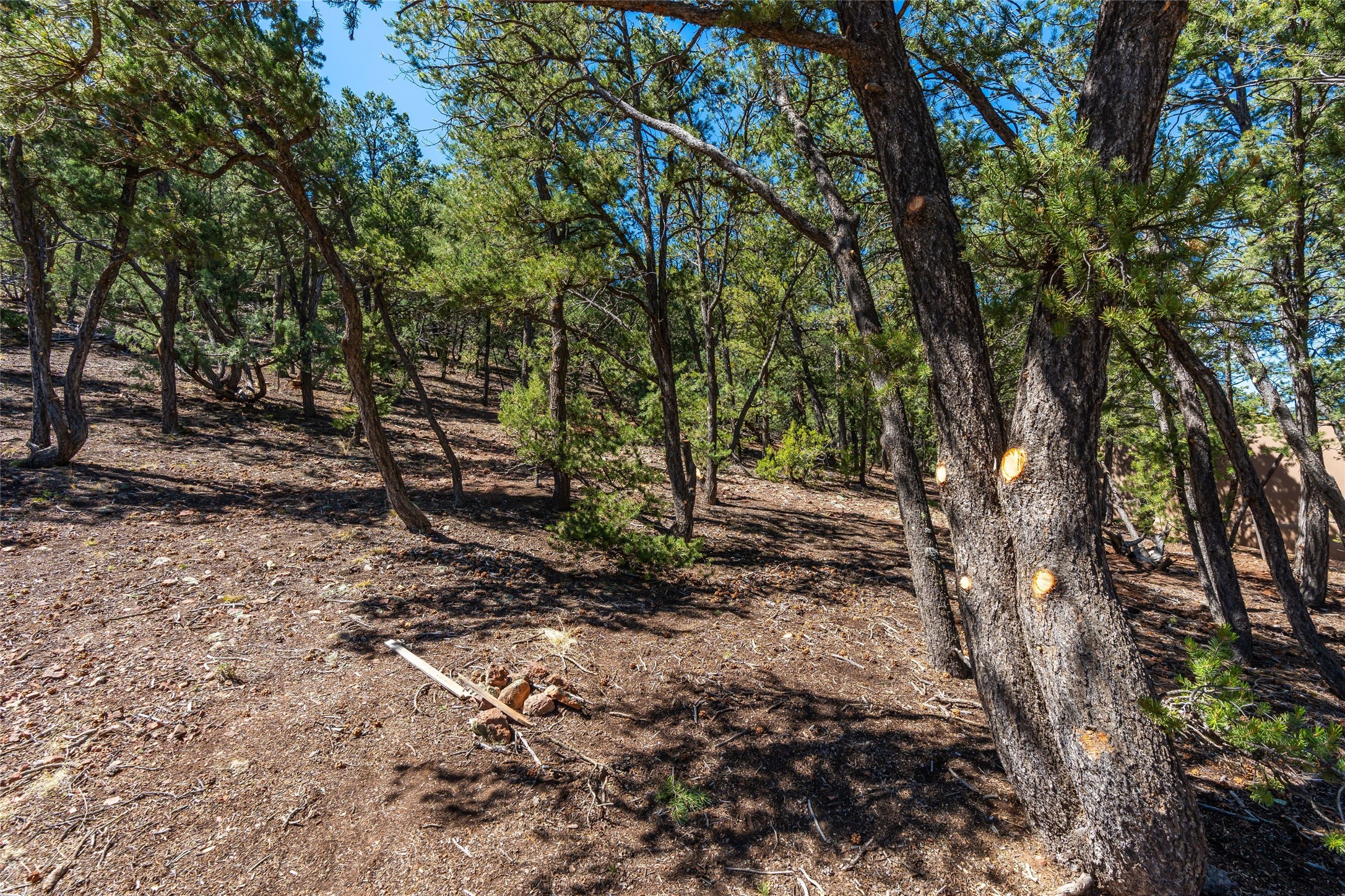 1412 Tesuque Creek Road Santa Fe, NM 87501 - Photo 12 of 13