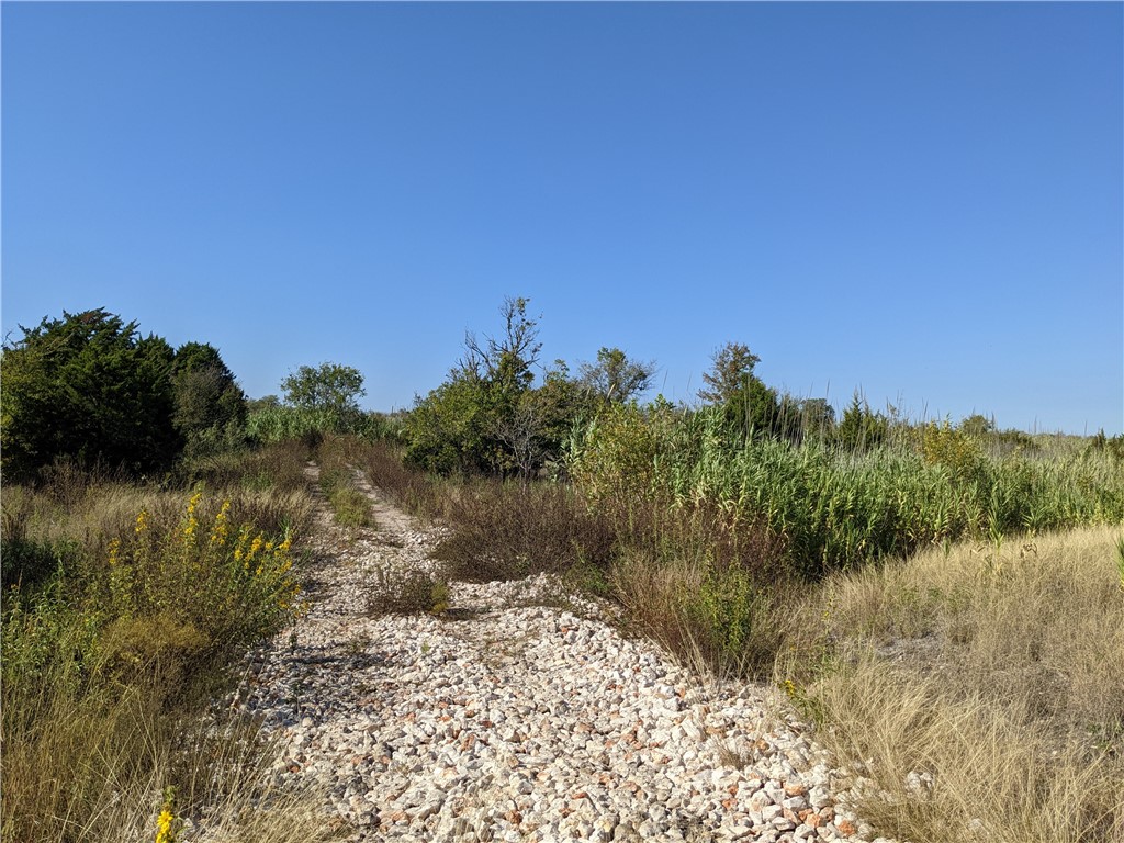 5534 Williamson Road Buda, TX 78610 - Photo 4 of 7