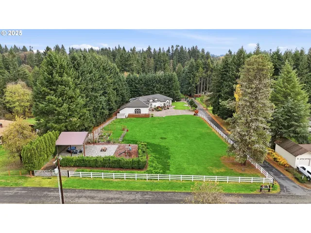 a black and white photo of a garden