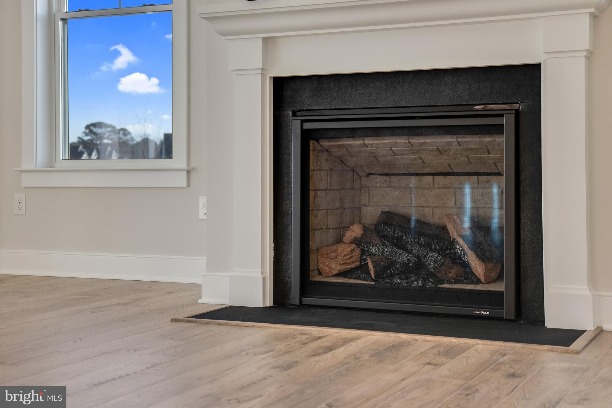 30491 Blue Beech Lane Frankford, DE 19945 - Photo 7 of 73 Gas Fireplace