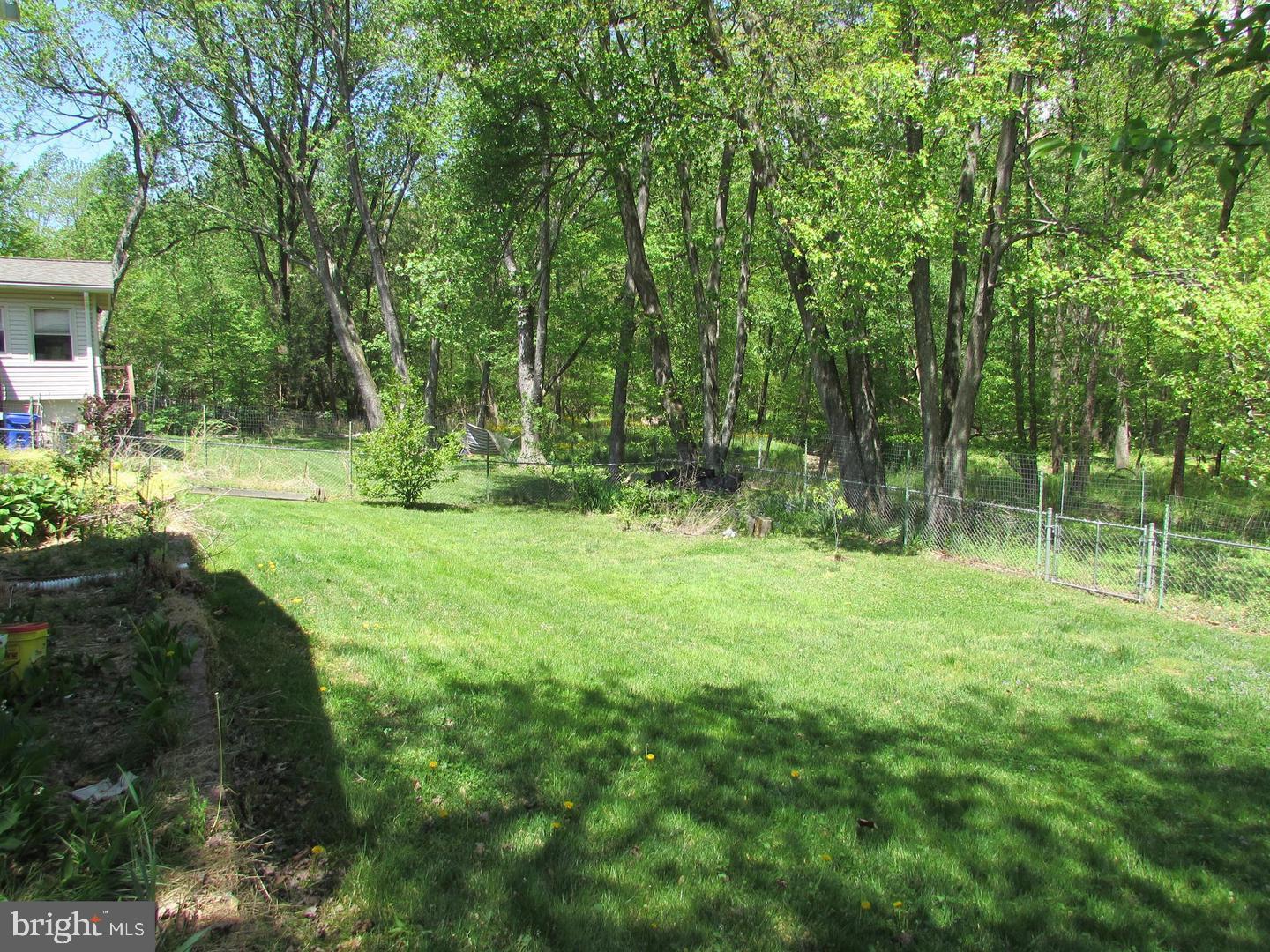 1615 Ladd Street Silver Spring, MD 20902 - Photo 2 of 3 a view of backyard with green space