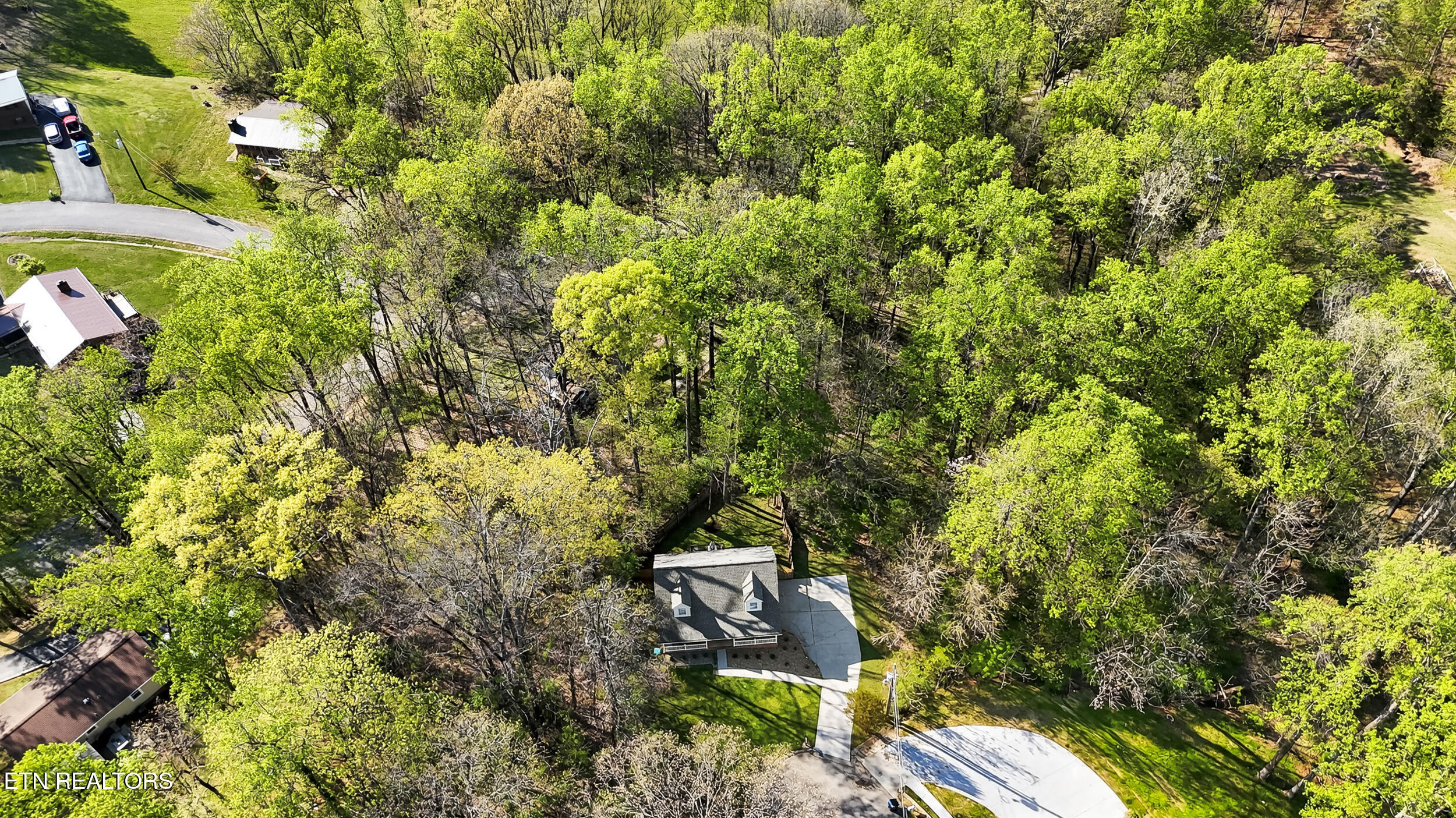 1065 Briar Court Talbott, TN 37877 - Photo 9 of 31 9_dji_20260407164746_0143_d