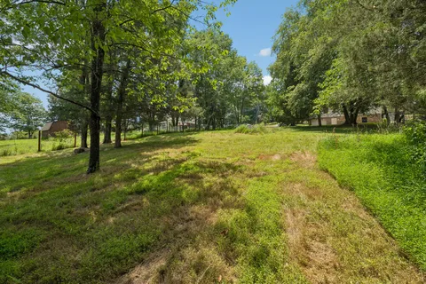 a view of outdoor space and yard