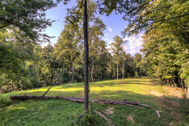 4173 Chestnut Ridge Road Santa Fe, TN 38482 - Photo 20 of 20 Some of the land. Additional wooded property, creek, building sites, and more.