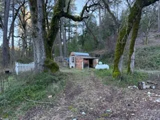 a view of a barn in the middle of a forest