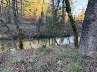 a view of a lake with a tree in the background