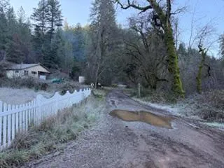 a view of a dry yard with trees