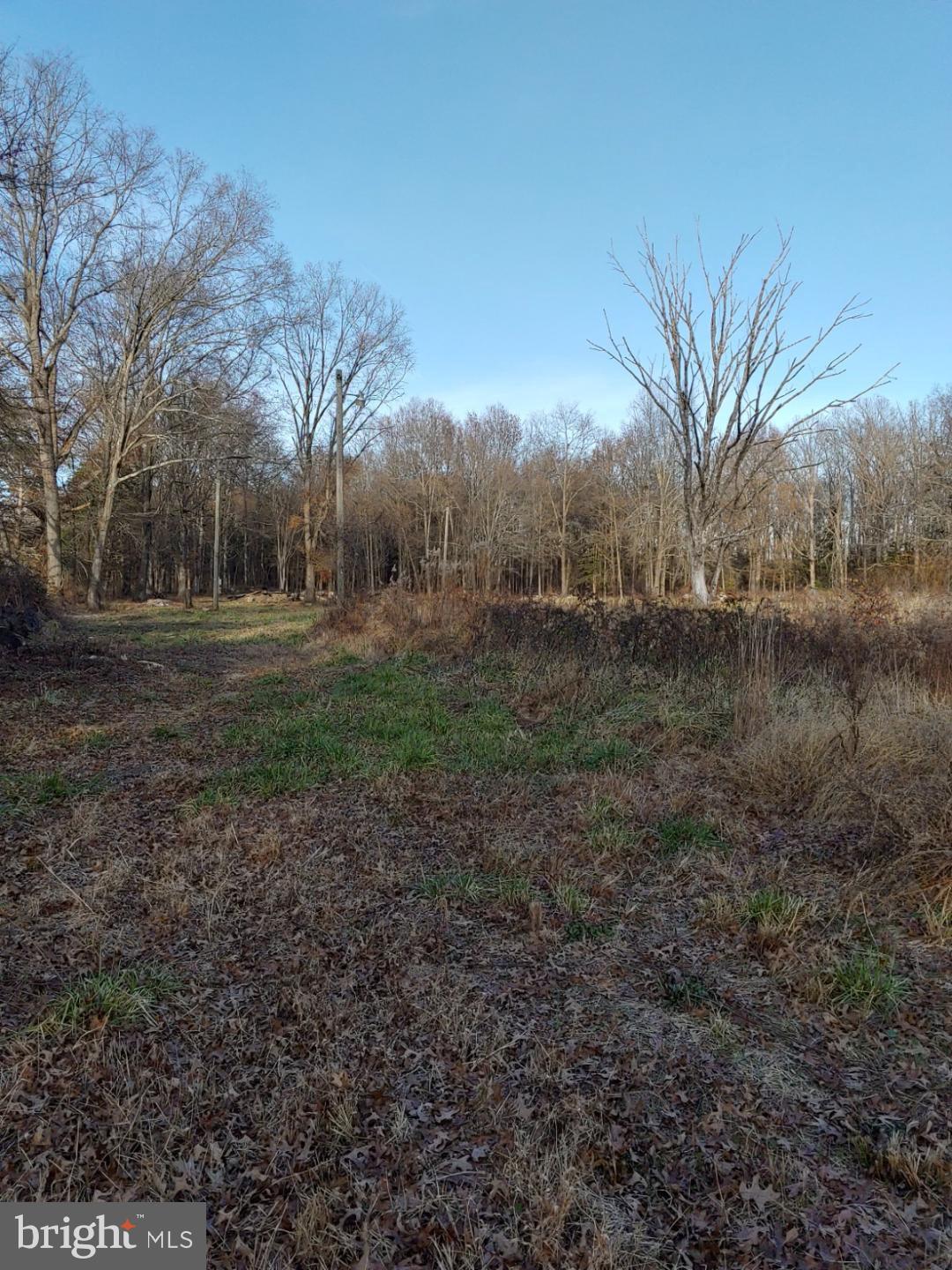 14079 Raccoon Ford Road Culpeper, VA 22701 - Photo 5 of 6 Gallery Image 5