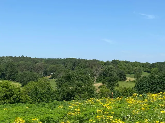 $34,000 | Lot 10 Hemmingford, Tomah, WI 54660