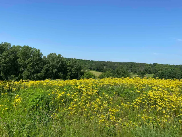 $34,000 | Lot 10 Hemmingford, Tomah, WI 54660