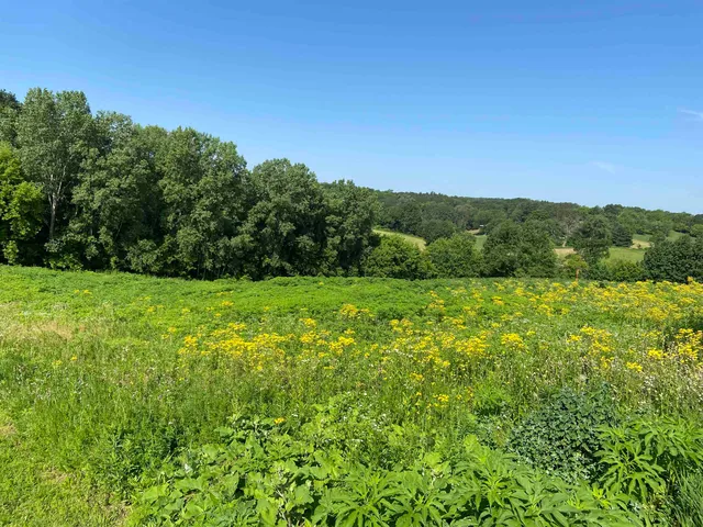 $34,000 | Lot 10 Hemmingford, Tomah, WI 54660