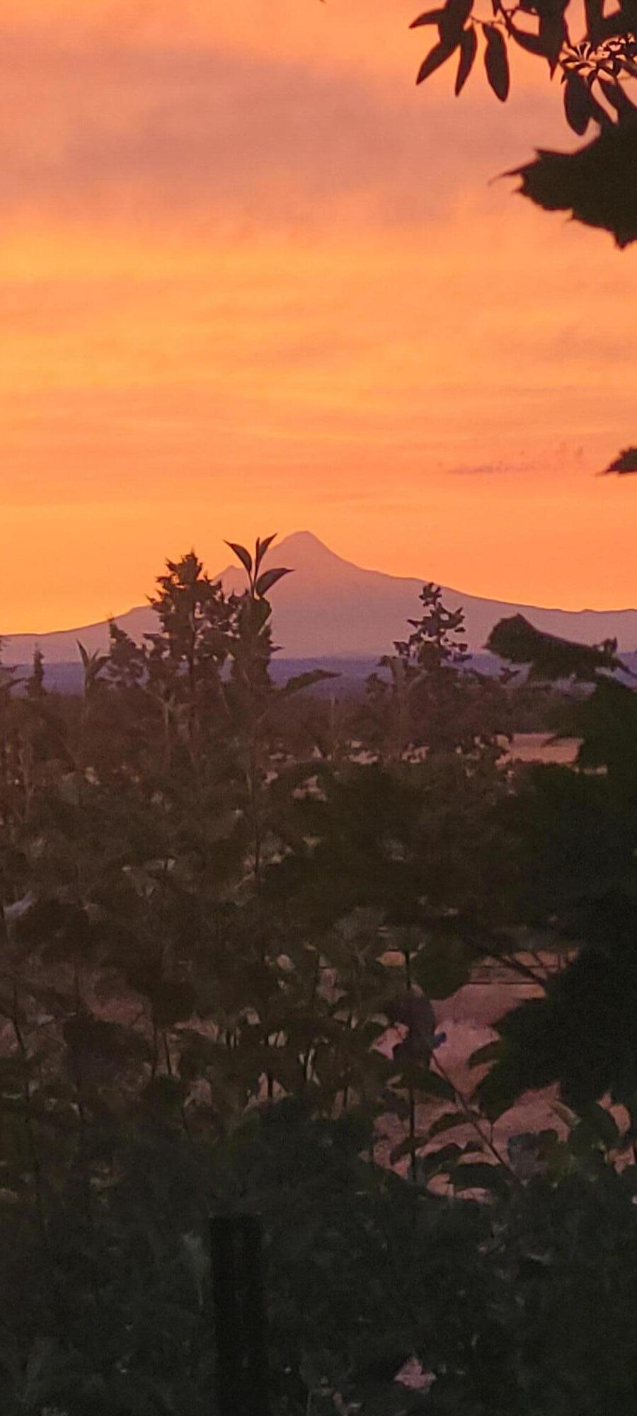 10220 Southwest Ruth Drive Culver, OR 97734 - Photo 27 of 28 Mt. Hood from back porch