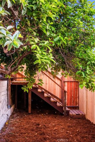 a view of a flower in a garden