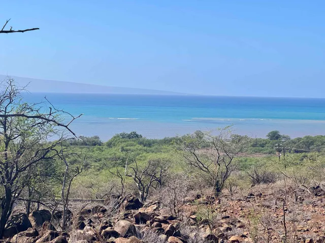 a view of a field with an ocean