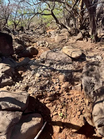 a view of a city with mountains in the background