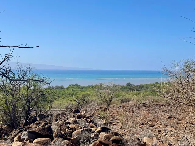 a view of a large building