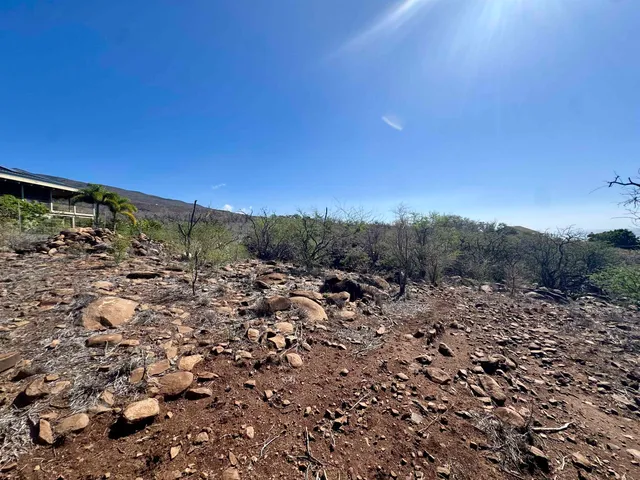 a view of a city with green space