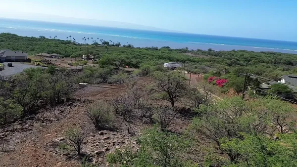 a view of a field with an ocean