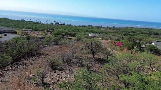 a view of a field with an ocean