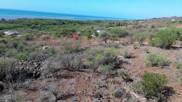 a front view of a house with a yard and palm trees