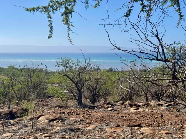 a view of a yard with wooden fence