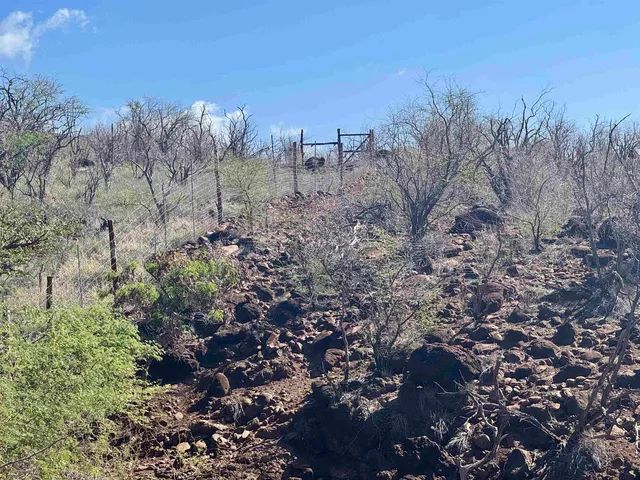 a view of a city with lots of plants and trees
