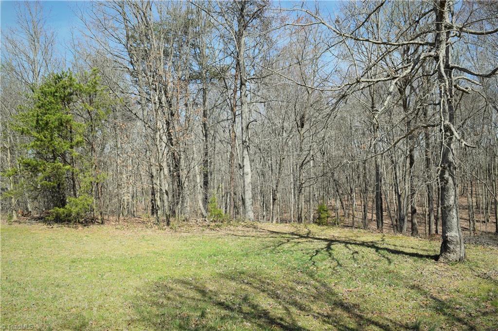 739 Simpson Road Stokesdale, NC 27357 - Photo 25 of 28 Front yard
