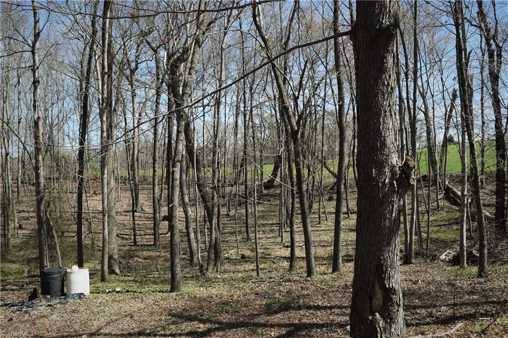 739 Simpson Road Stokesdale, NC 27357 - Photo 27 of 28 Acreage