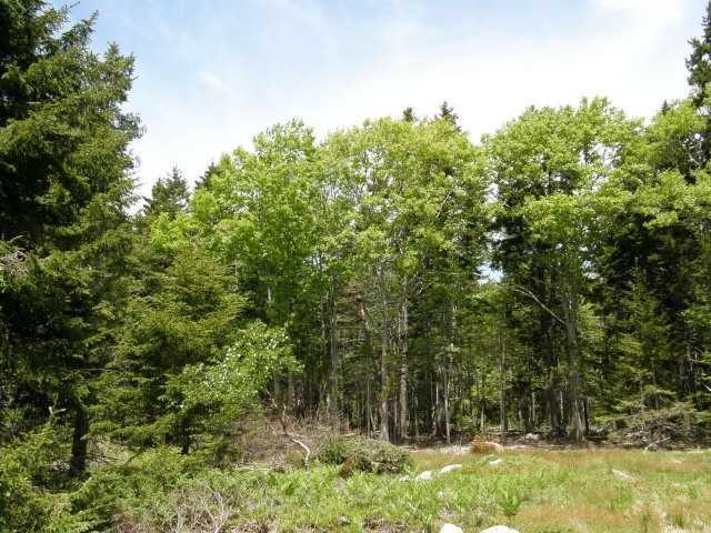 5 Old Woods Road Tenants Harbor, ME 04860 - Photo 2 of 8 Land.