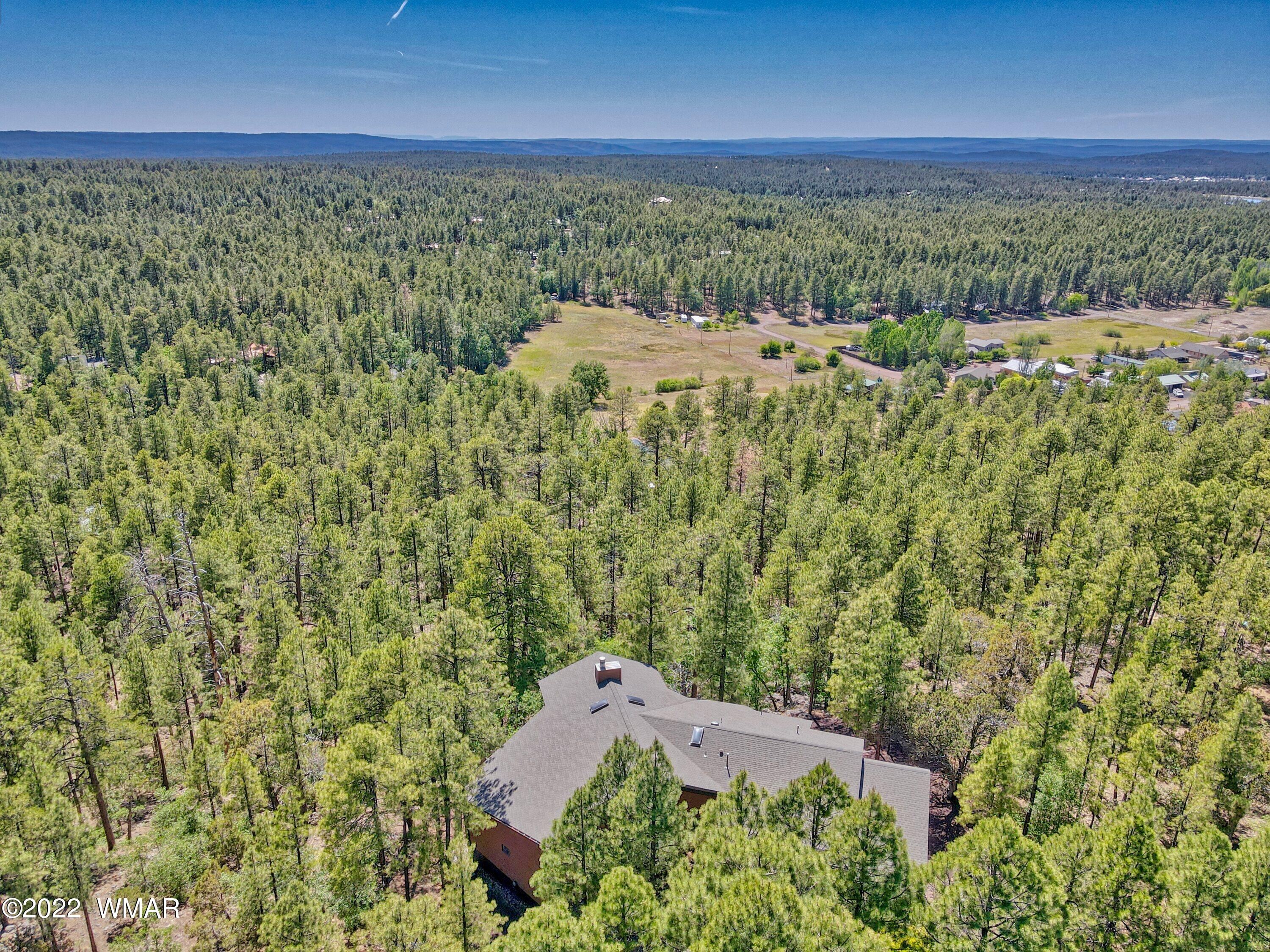 2117 East Ridge Drive Pinetop, AZ 85935 - Photo 21 of 73
