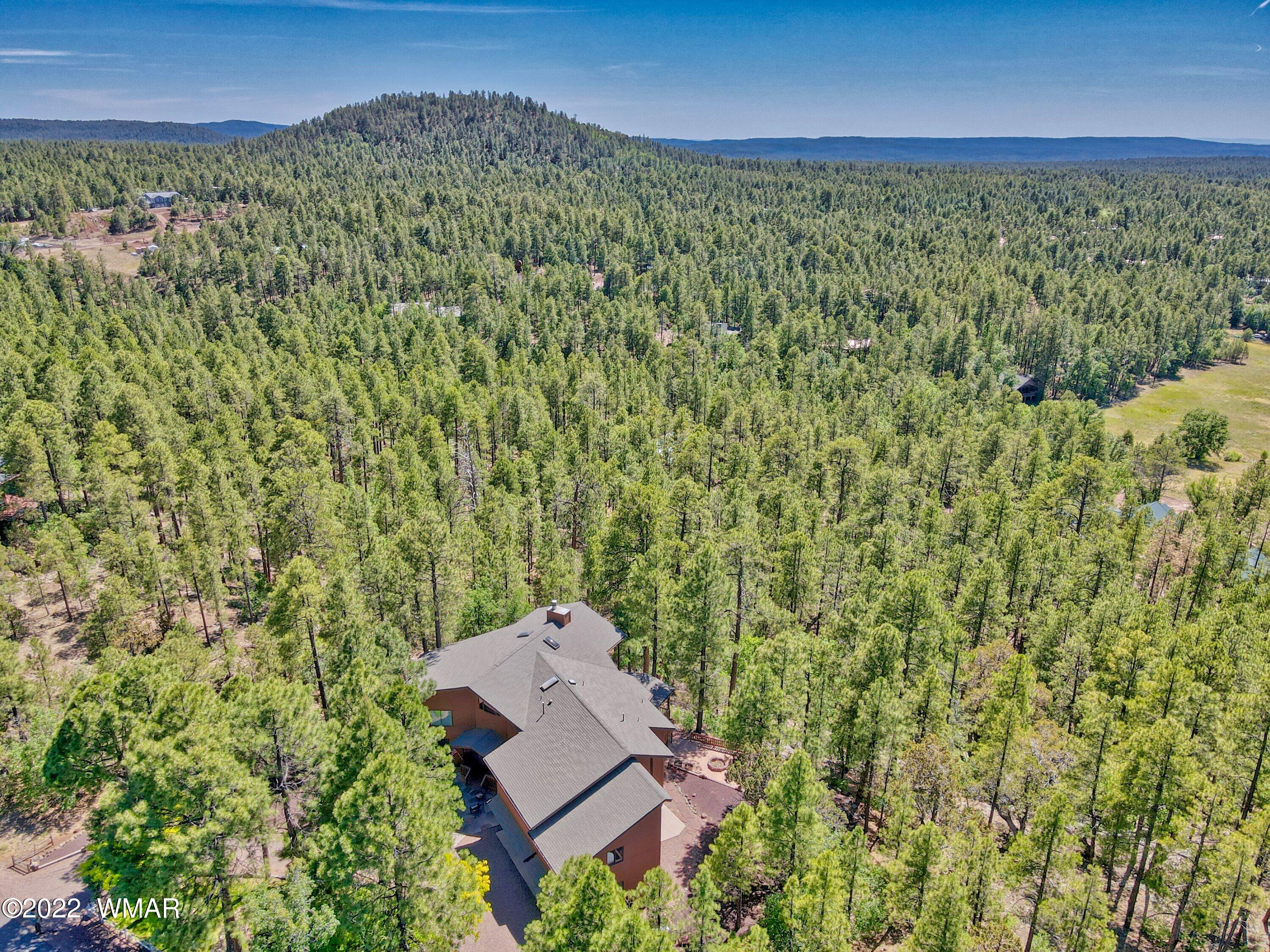 2117 East Ridge Drive Pinetop, AZ 85935 - Photo 22 of 73