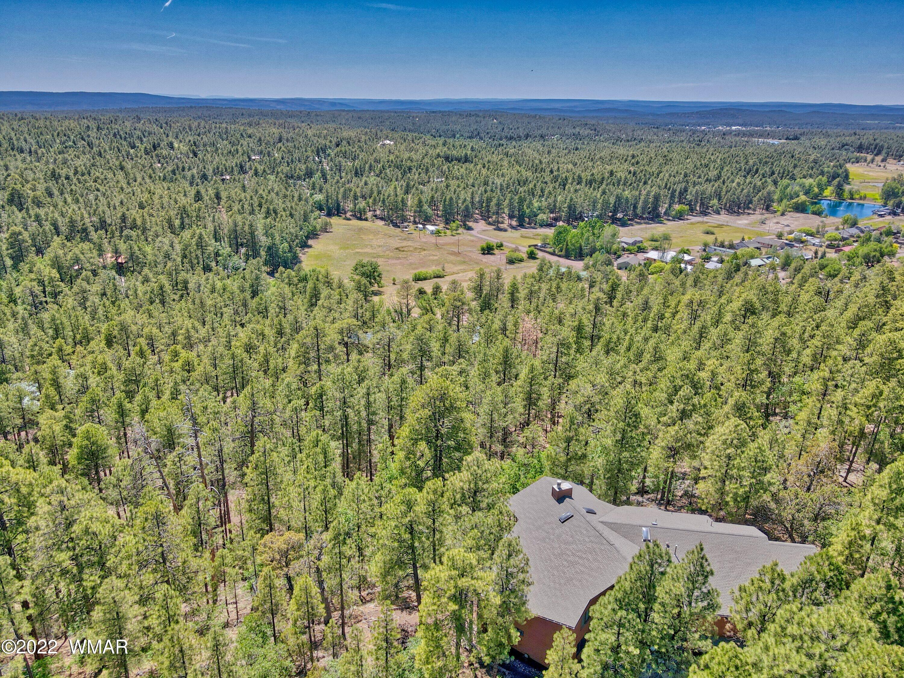 2117 East Ridge Drive Pinetop, AZ 85935 - Photo 23 of 73