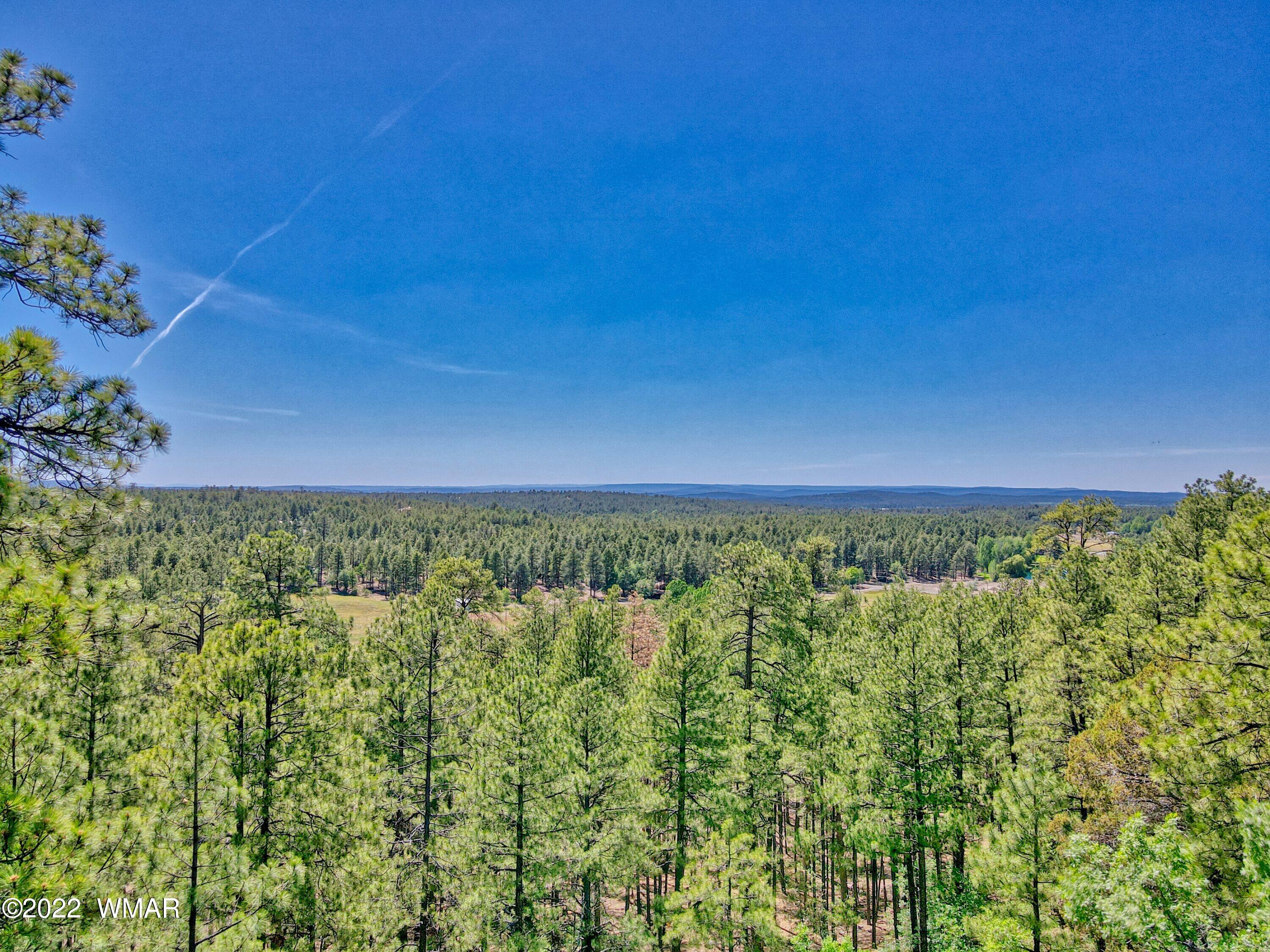 2117 East Ridge Drive Pinetop, AZ 85935 - Photo 28 of 73