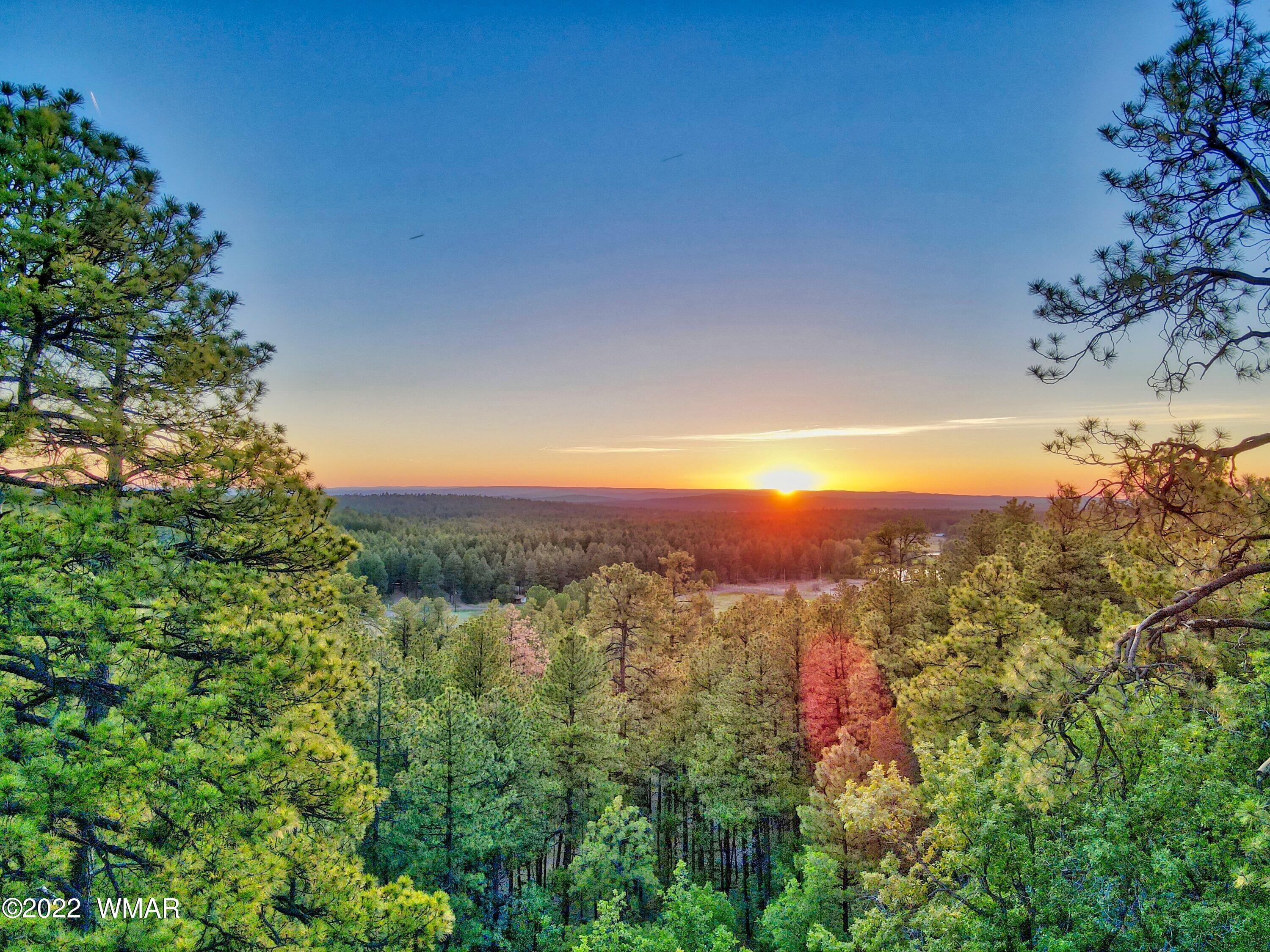 2117 East Ridge Drive Pinetop, AZ 85935 - Photo 30 of 73