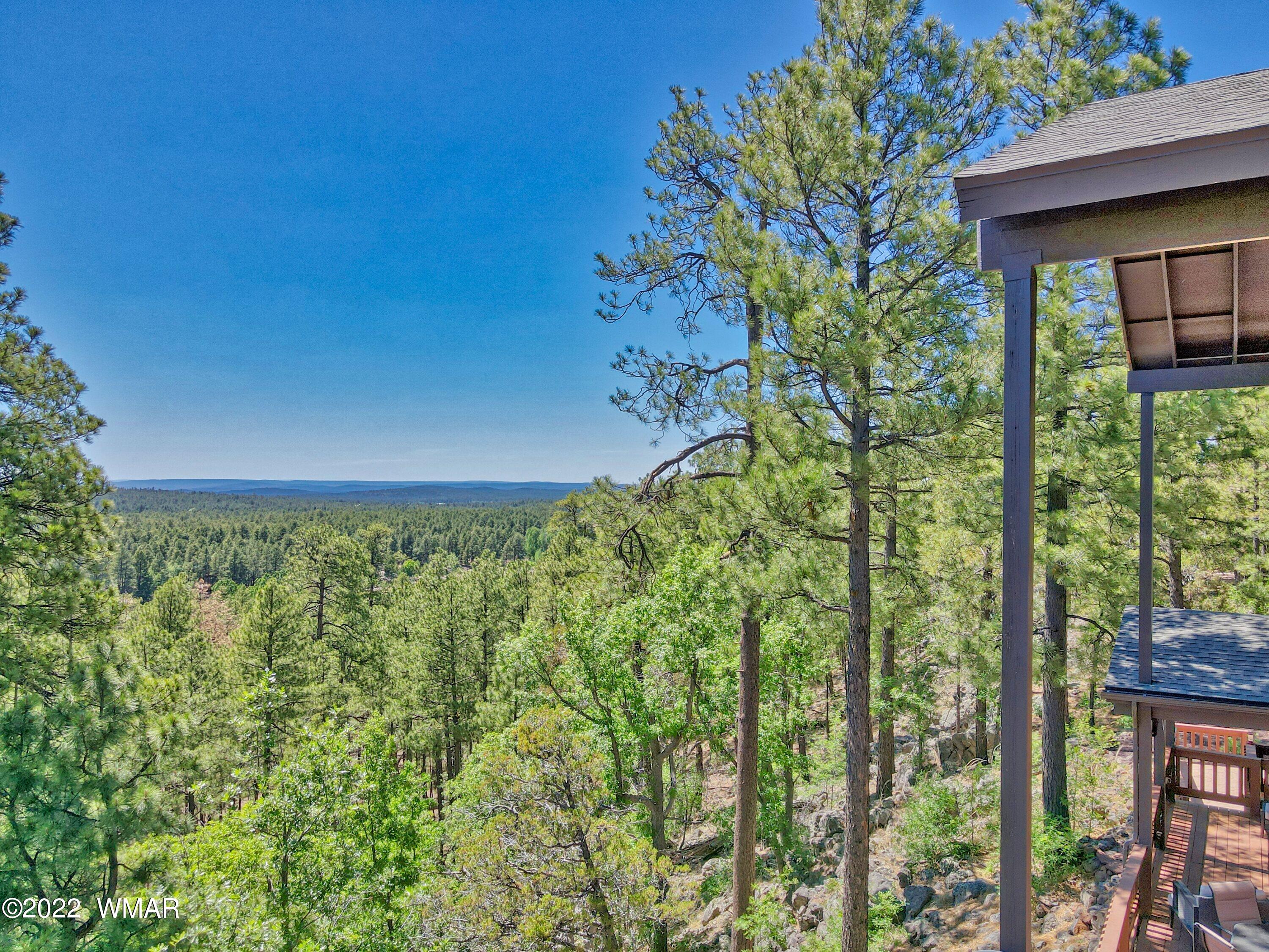 2117 East Ridge Drive Pinetop, AZ 85935 - Photo 3 of 73