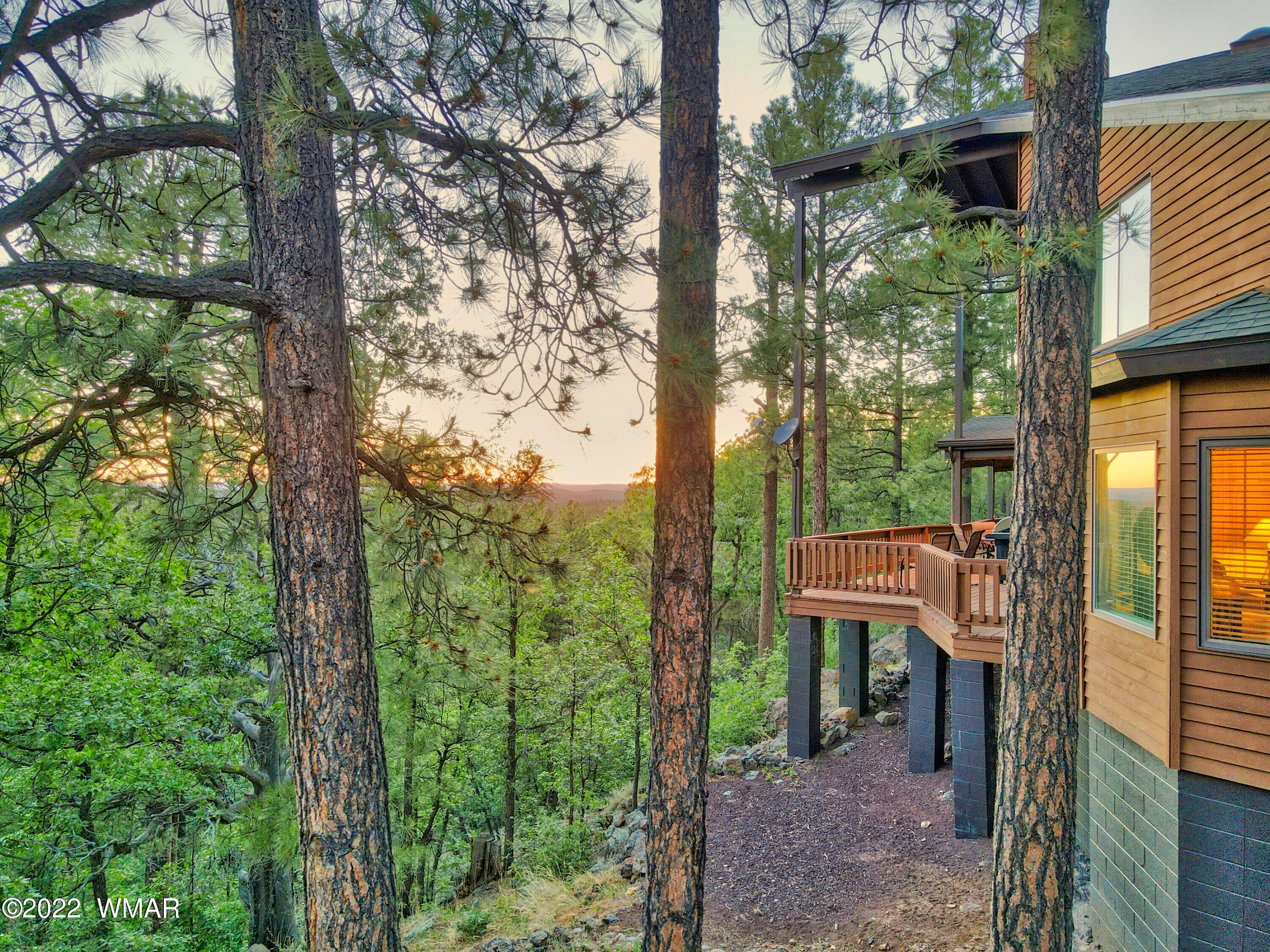 2117 East Ridge Drive Pinetop, AZ 85935 - Photo 31 of 73