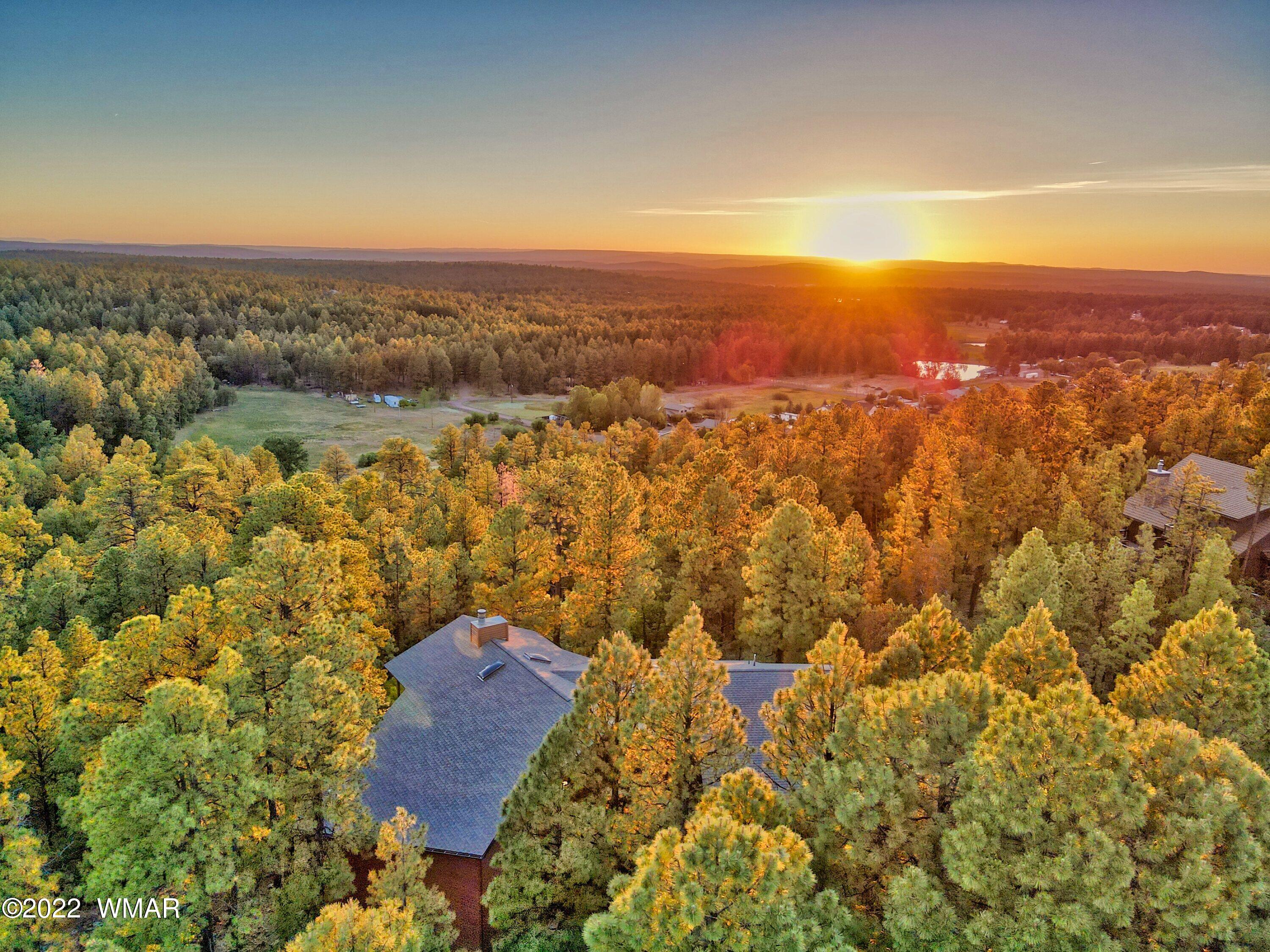 2117 East Ridge Drive Pinetop, AZ 85935 - Photo 4 of 73