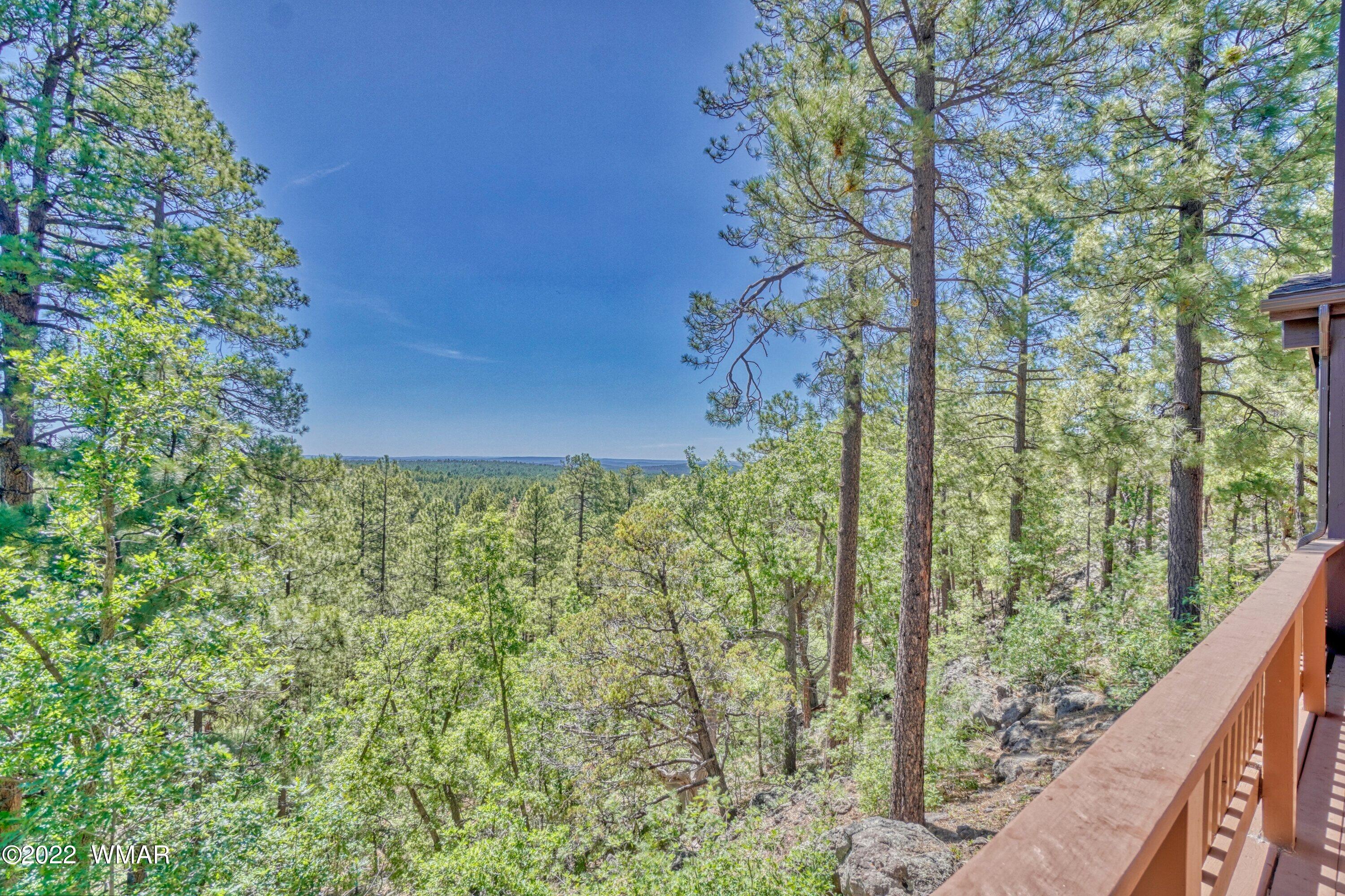 2117 East Ridge Drive Pinetop, AZ 85935 - Photo 43 of 73