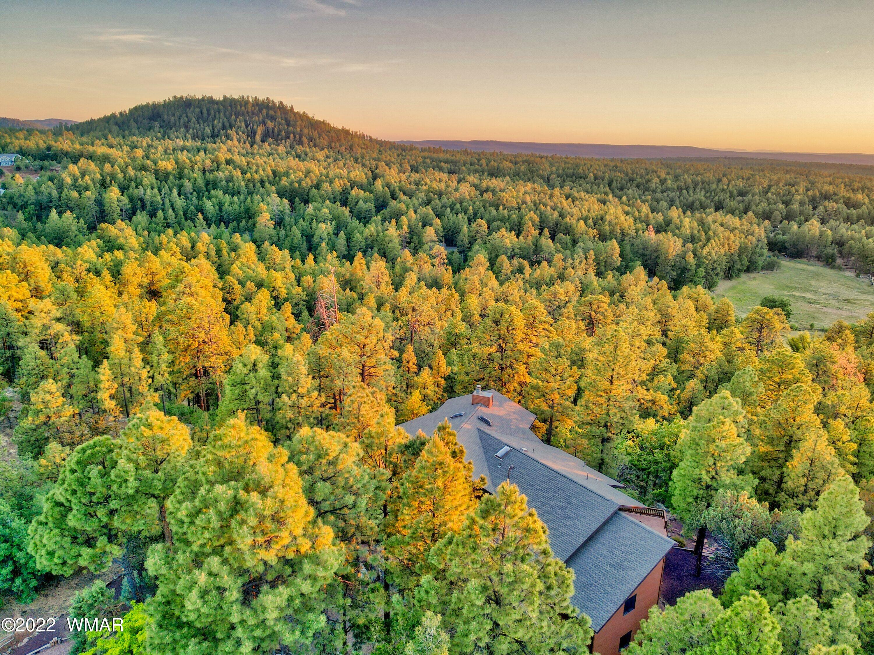 2117 East Ridge Drive Pinetop, AZ 85935 - Photo 5 of 73