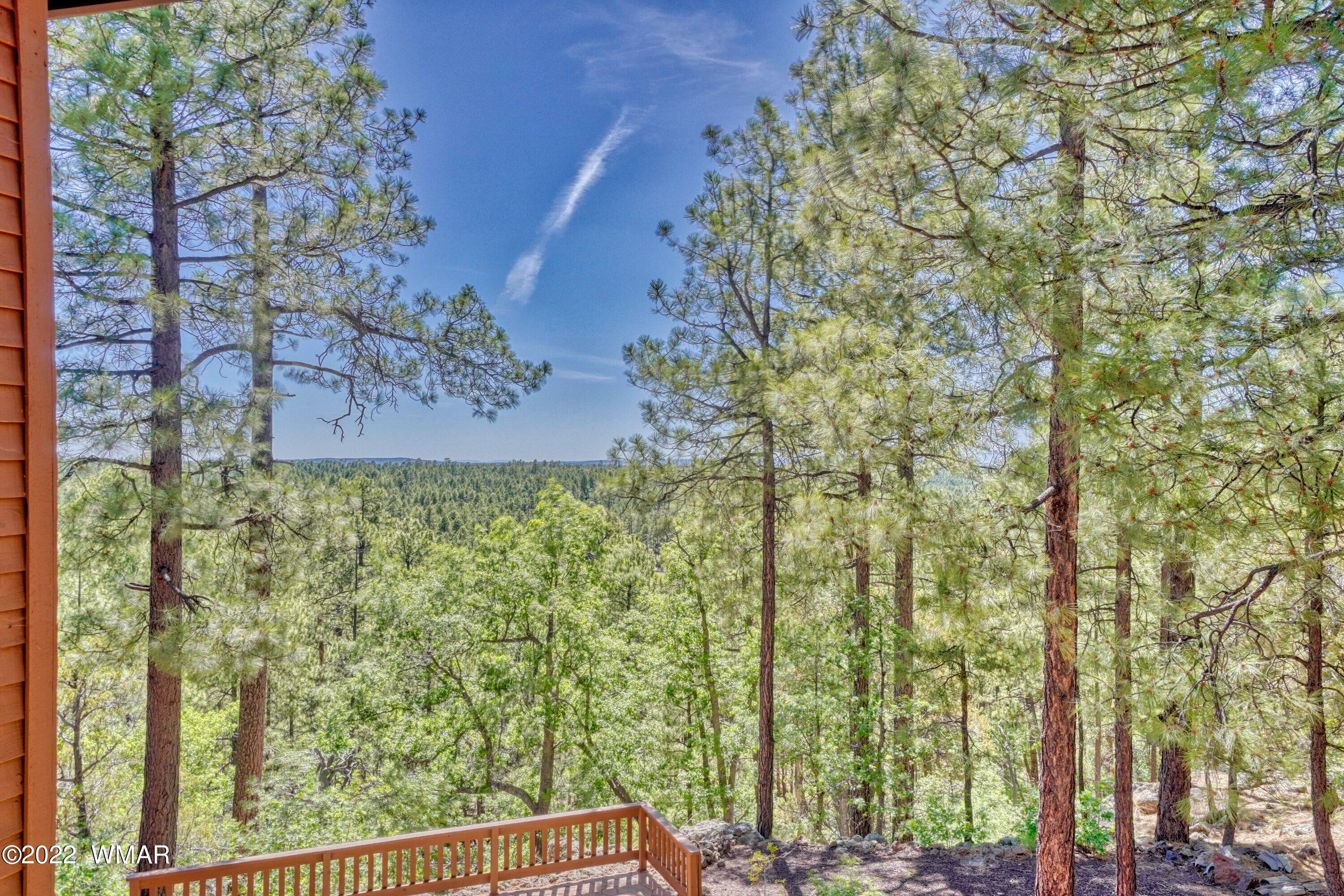 2117 East Ridge Drive Pinetop, AZ 85935 - Photo 56 of 73