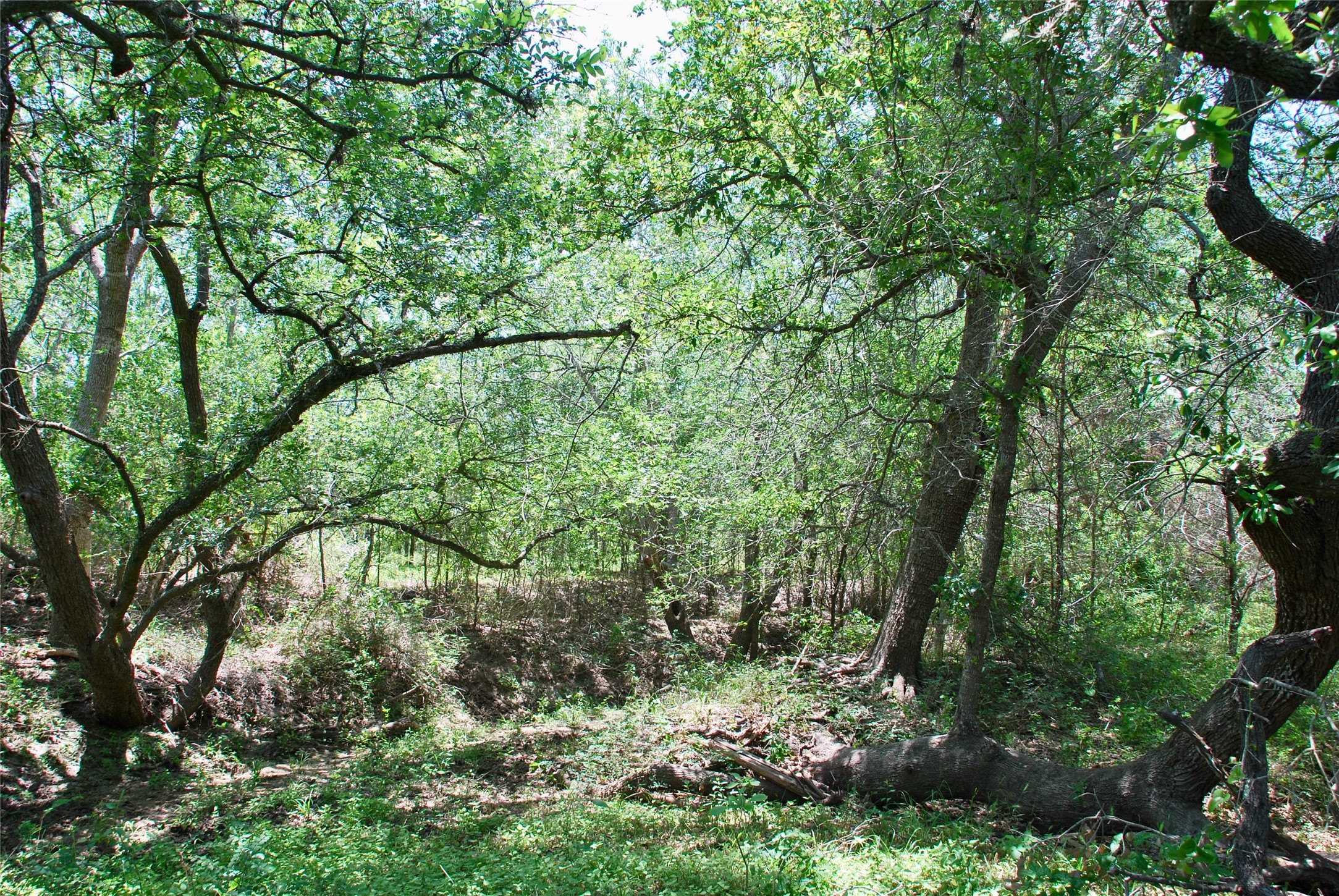 2170 Langdon Road Weimar, TX 78962 - Photo 20 of 31