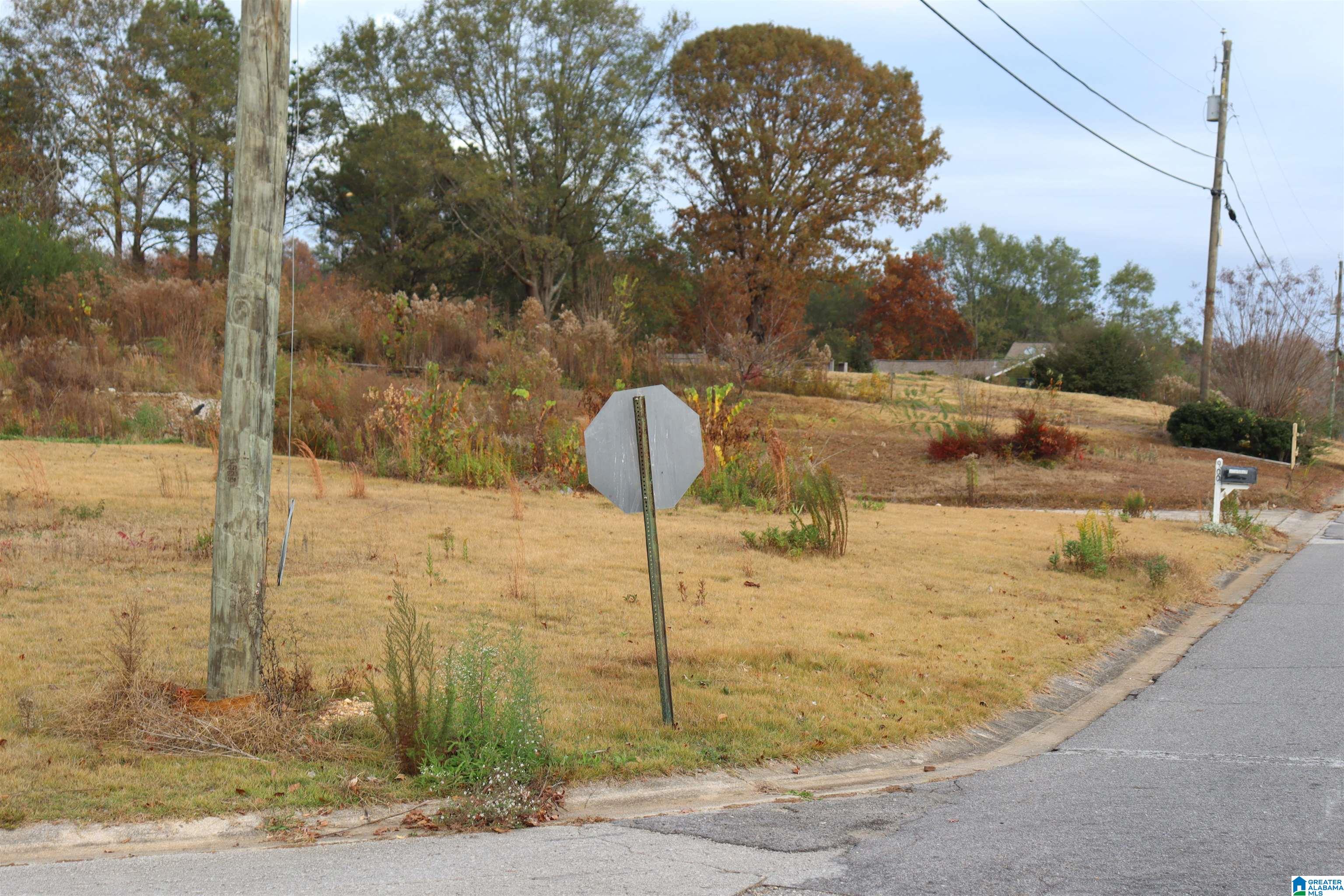 900 Willow Bend Road, Unit 900 Pelham, AL 35124 - Photo 8 of 14
